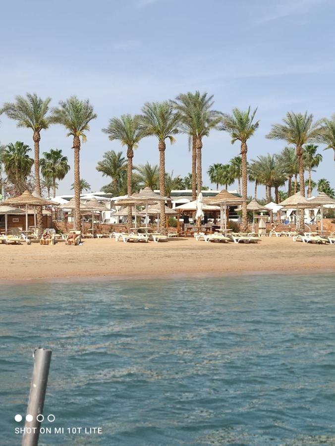 Seti Sharm Palm Beach Resort Families And Couples Only Екстериор снимка