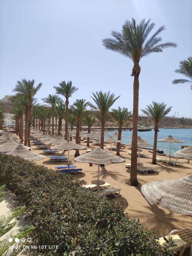 Seti Sharm Palm Beach Resort Families And Couples Only Екстериор снимка