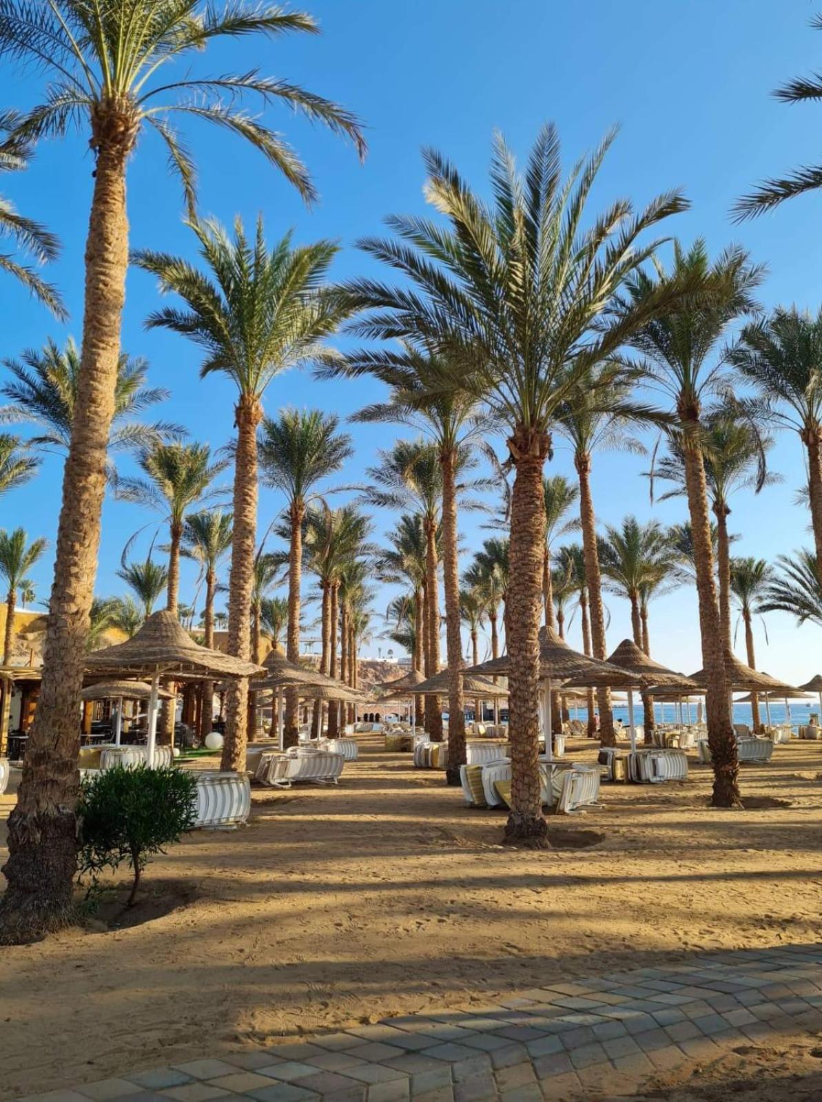 Seti Sharm Palm Beach Resort Families And Couples Only Екстериор снимка